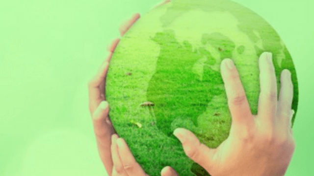 Mobilité internationale